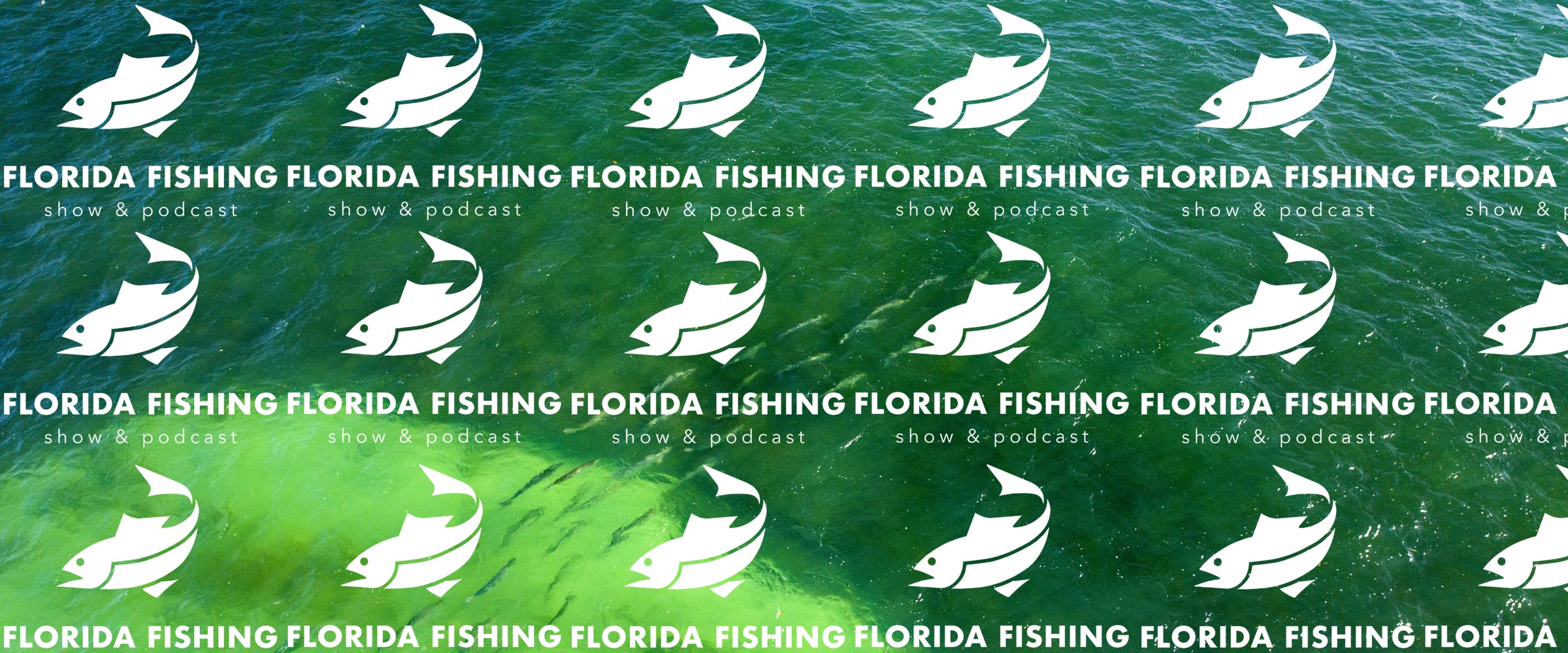 5-things-we-spent-more-money-on-than-our-salaries-florida-fishing